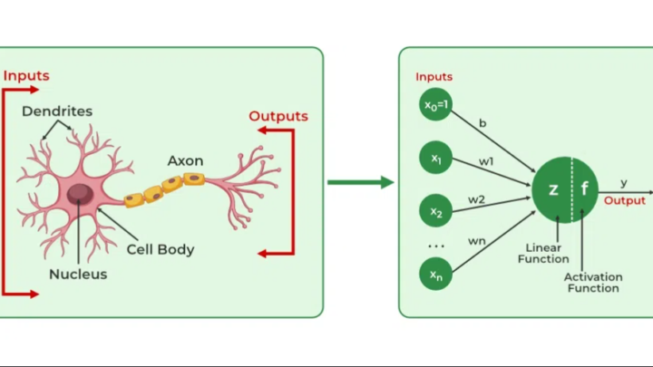 Artificial Neural Networks