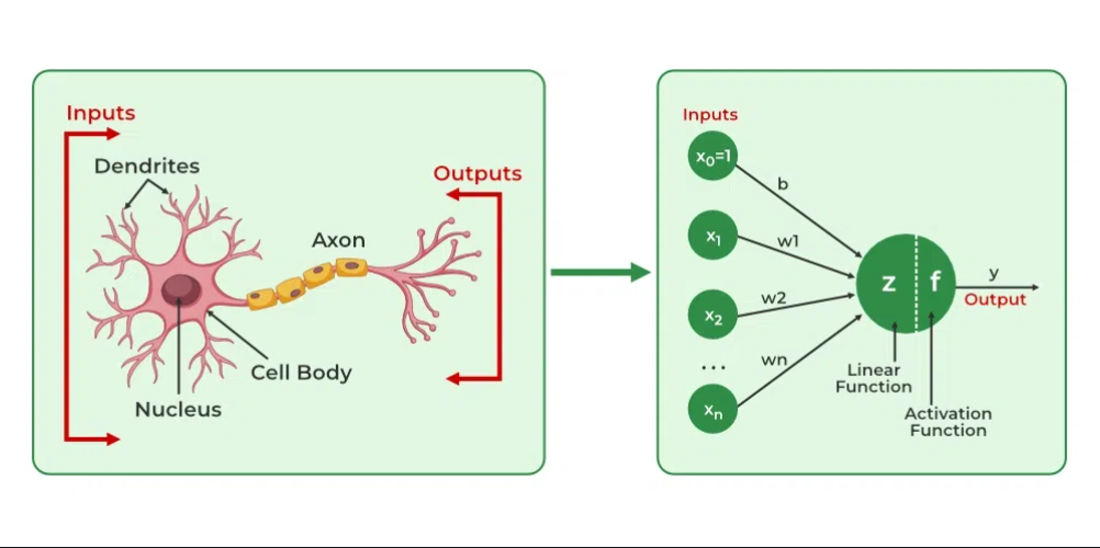 Artificial Neural Networks